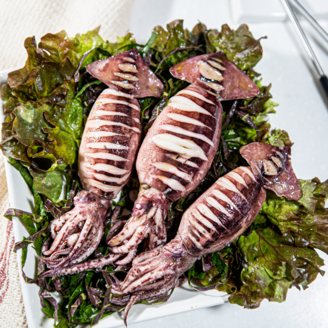 총알한치 15-23미 500g내외 1팩