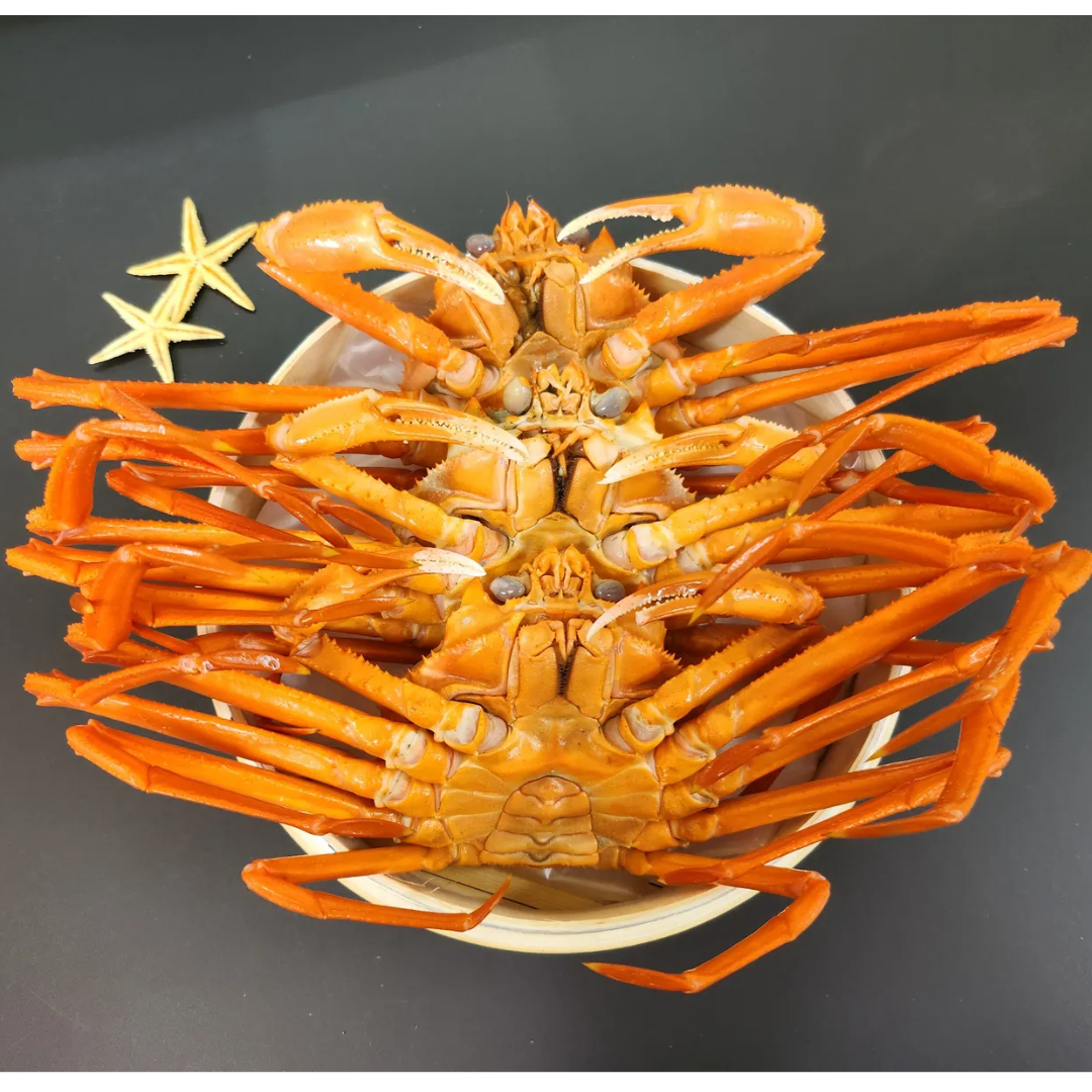 박달홍게 4kg 5kg