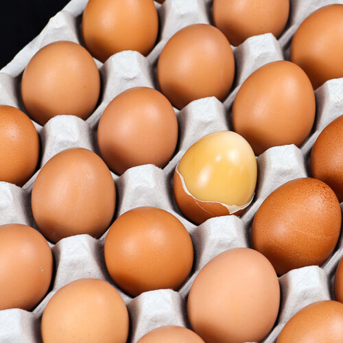 구운 계란 대란 30구