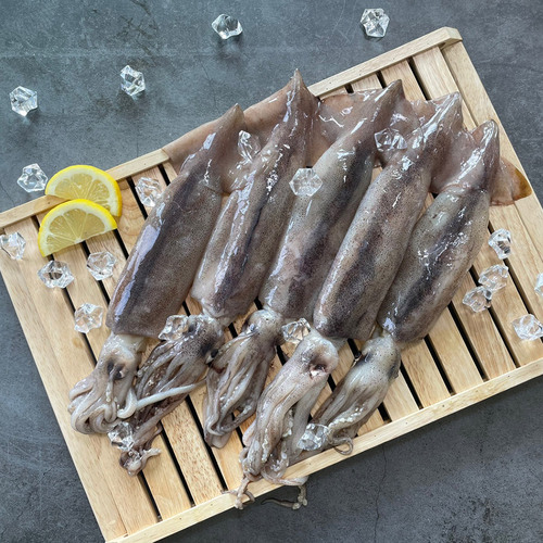 손질 통오징어 2미 400g