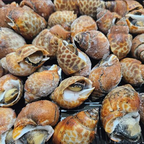 자숙 범고동 500g (37미 내외, 초장 40g x 2팩 포함)