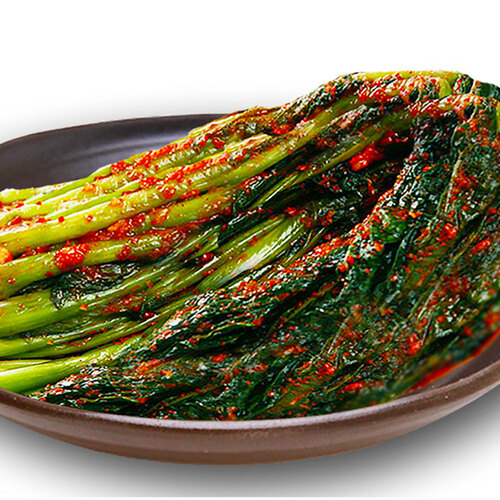 100프로 국내산 전라도 갓김치 10kg