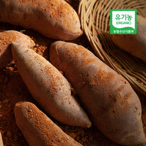 무안 유기농 햇고구마 꿀 달수고구마 특상 5kg