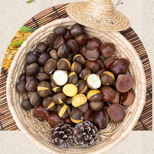 공주밤 (대) 무칼집 (흰색망) 1kg