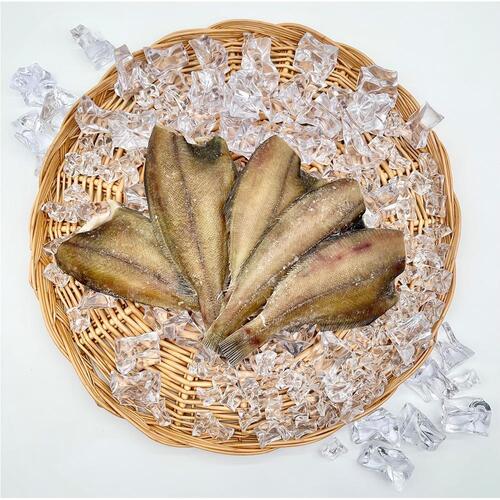 반건조 참가자미 5미 (500g 내외)
