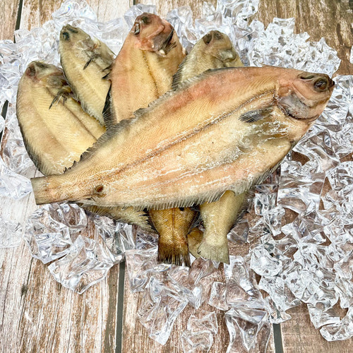 국내산 반건조 기름가자미(물가자미) 25미 (2,5g내외)