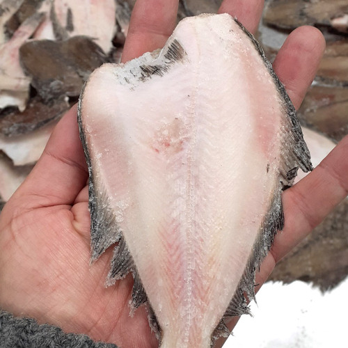 국내산 반건조 두절 참가자미 1kg (15미)