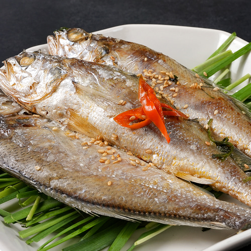 영광 국산 참 굴비 1,6kg 20미