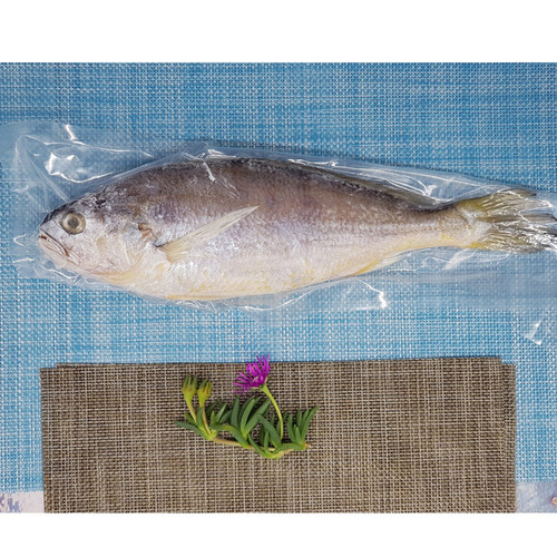 국산 조기 참조기 1팩 1마리 대 사이즈 150g 냉동