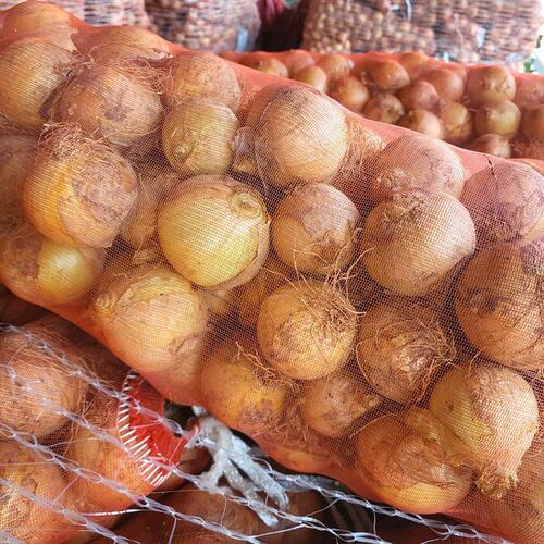 양파3kg(소80g미만,중100g내외,대150g내외,특200g내외)