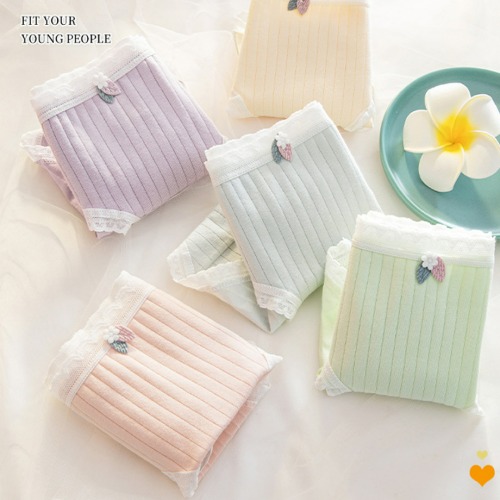 순면코튼 마카롱 팬티 5개세트