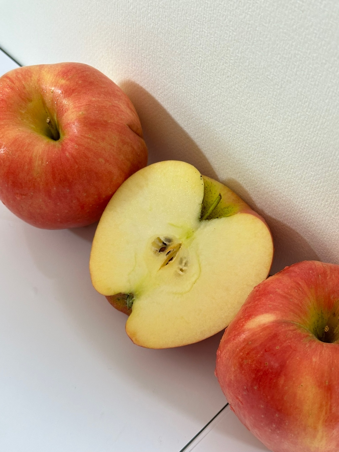 부사사과가정용일반(중소과)