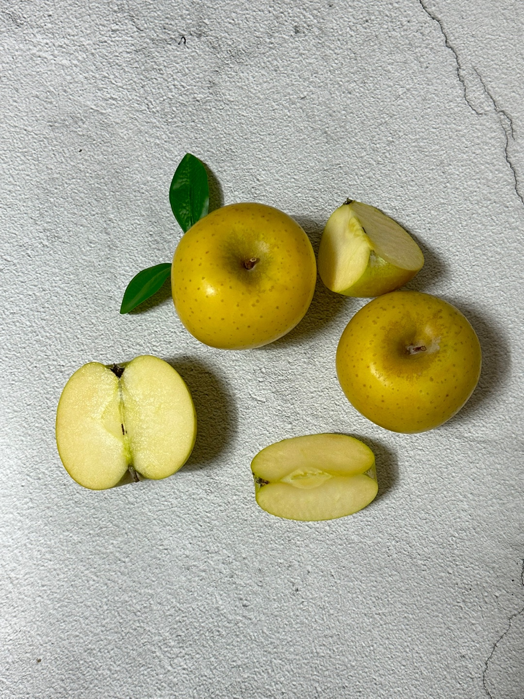 시나노골드가정용일반(중과)